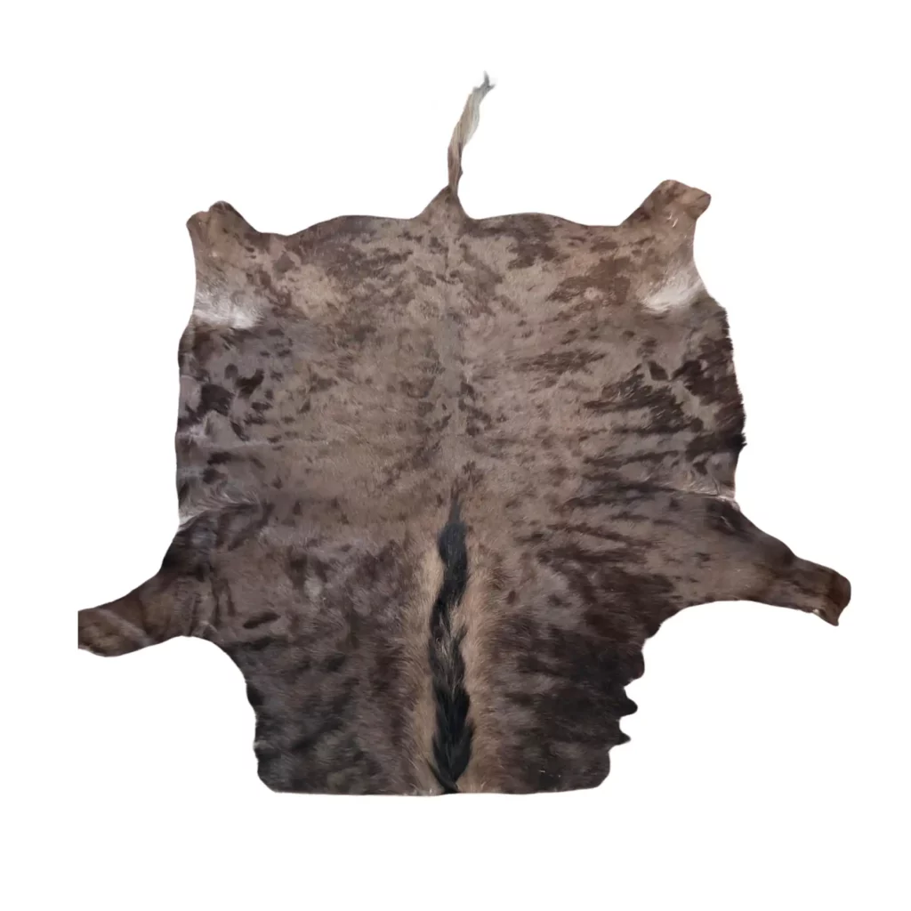 bws 18 black wildebeest (gnu)