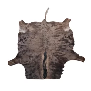 bws 18 black wildebeest (gnu)