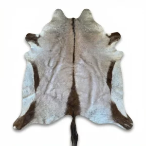 gbs 15 gemsbok flatskin