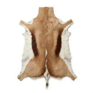 sbs 10 springbok flat skin
